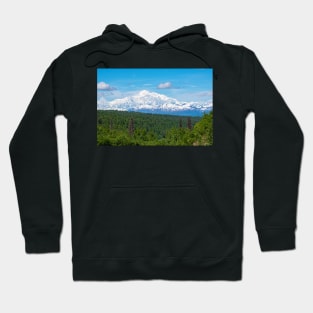 Clear Day Denali Hoodie